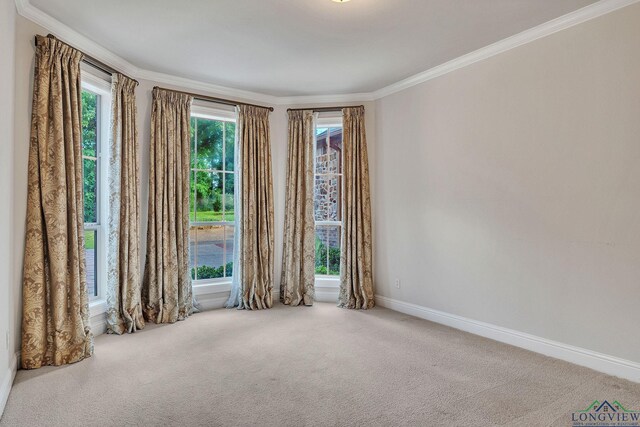 1719 Hg Mosley Pkwy, Longview, TX 75604 - carpeted spare room featuring ornamental molding and baseboards