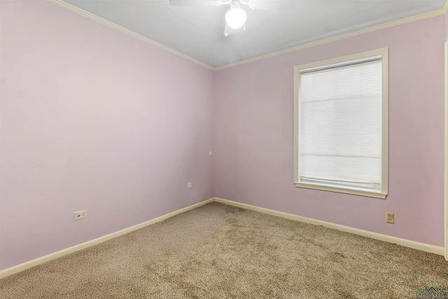 spare room with crown molding, a healthy amount of sunlight, and carpet