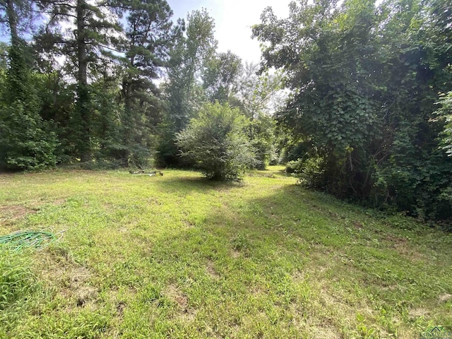 12893 N Main St, Overton, TX 75684 - photo 33