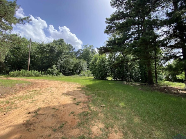 12893 N Main St, Overton, TX 75684 - photo 38