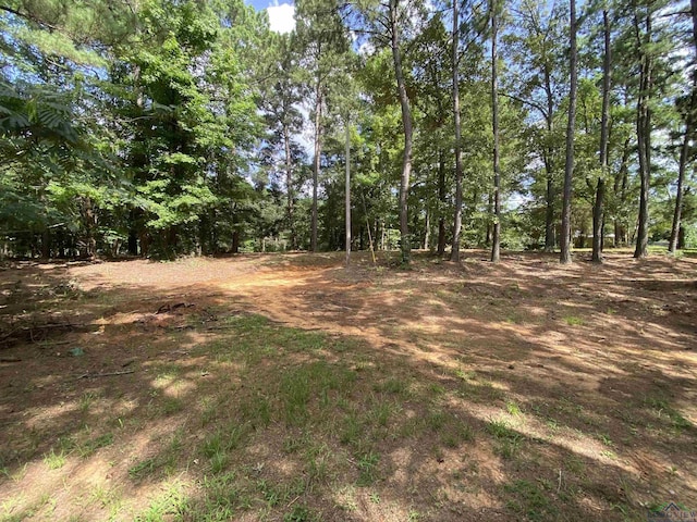 12893 N Main St, Overton, TX 75684 - photo 37