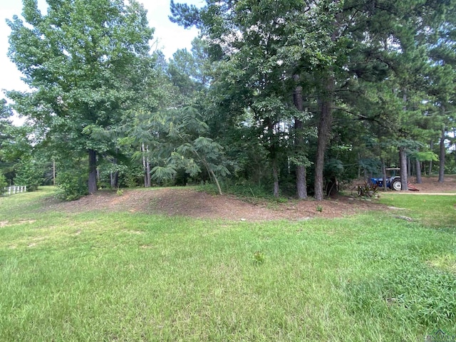 12893 N Main St, Overton, TX 75684 - photo 35