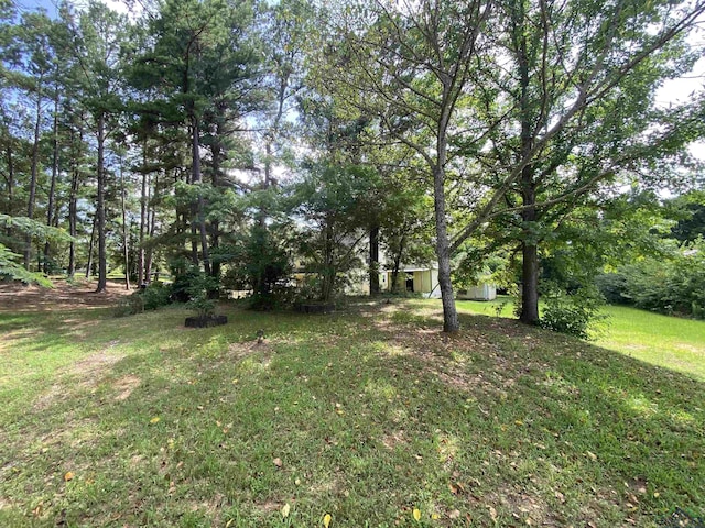 12893 N Main St, Overton, TX 75684 - photo 36