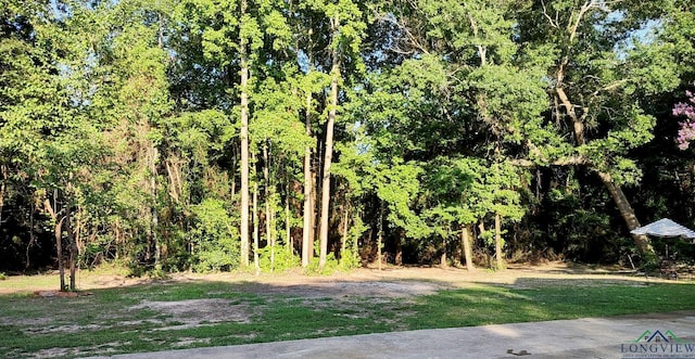 187 Settlers Rd, Longview, TX 75605 - photo 28