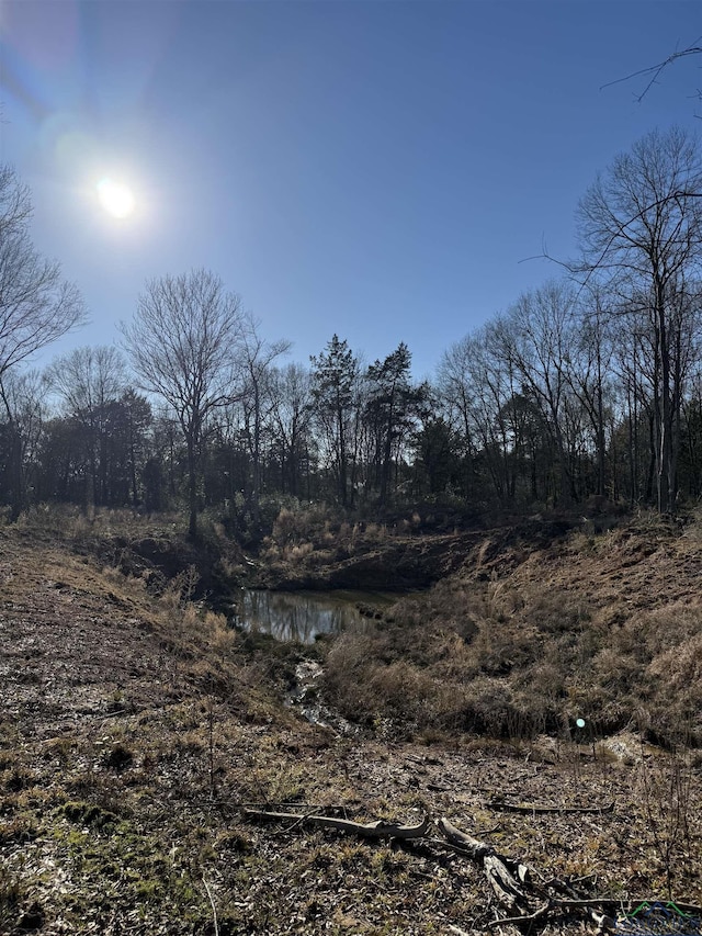 view of local wilderness featuring a view of trees