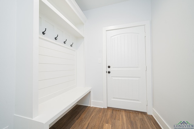 mudroom featuring dark wood-type flooring