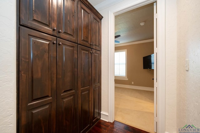 hallway featuring dark wood-type flooring, a textured ceiling, and ornamental molding