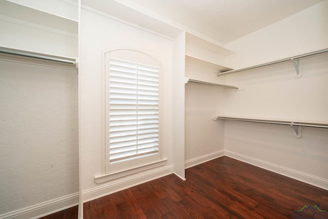 spacious closet with dark wood-type flooring