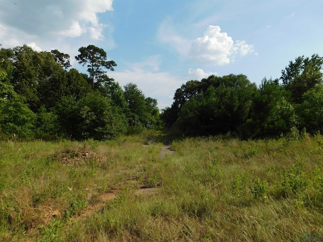 TBD Dollahite, Spring Hill TX, 75604 land for sale