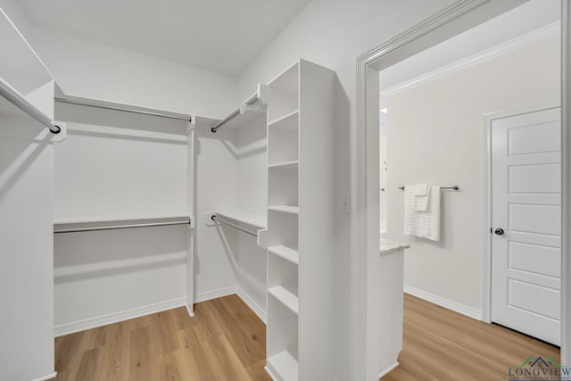 walk in closet featuring light hardwood / wood-style flooring