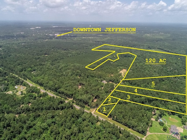 LOT5 Fm 134, Jefferson, TX 75657 - photo 1