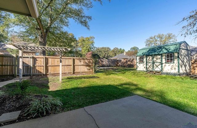 view of yard with a patio area and a shed