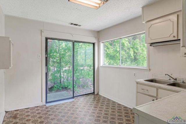 kitchen with visible vents, a sink, a textured ceiling, and a healthy amount of sunlight