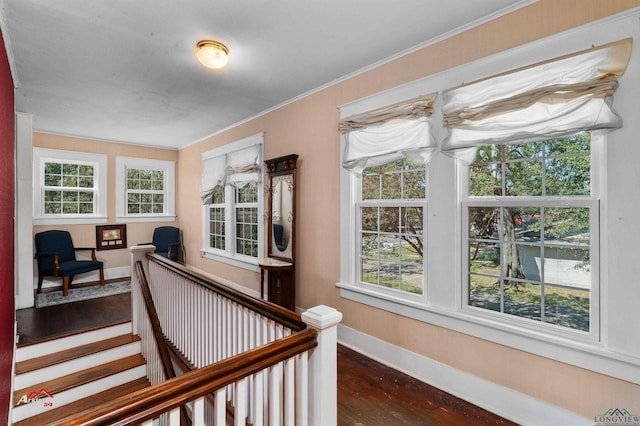 corridor featuring crown molding, dark wood-type flooring, and a wealth of natural light