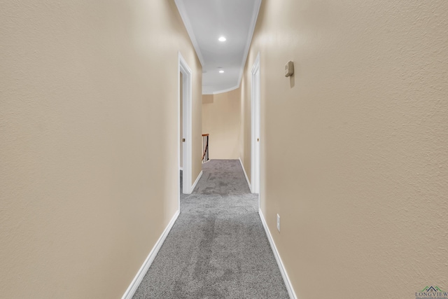 hallway with crown molding and carpet floors