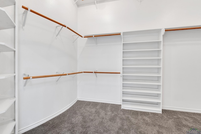 spacious closet with carpet