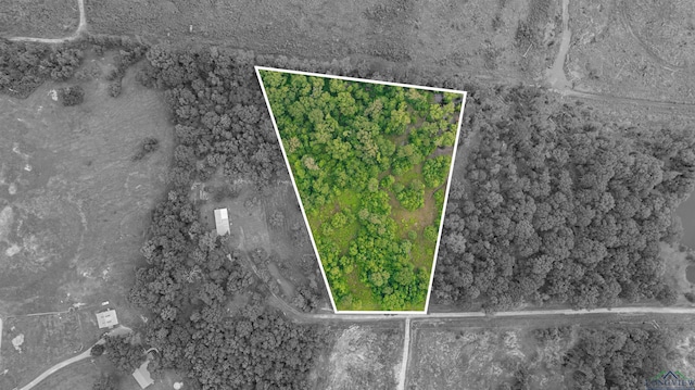 376 Fm 4441, Hallsville, TX 75650 - photo 16