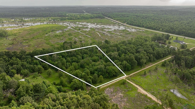 376 Fm 4441, Hallsville, TX 75650 - photo 9