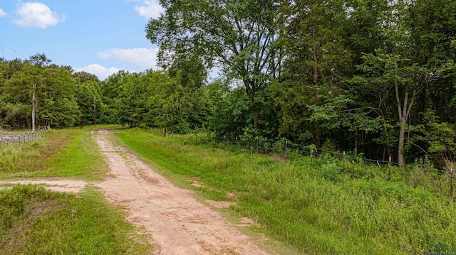 376 Fm 4441, Hallsville, TX 75650 - photo 3