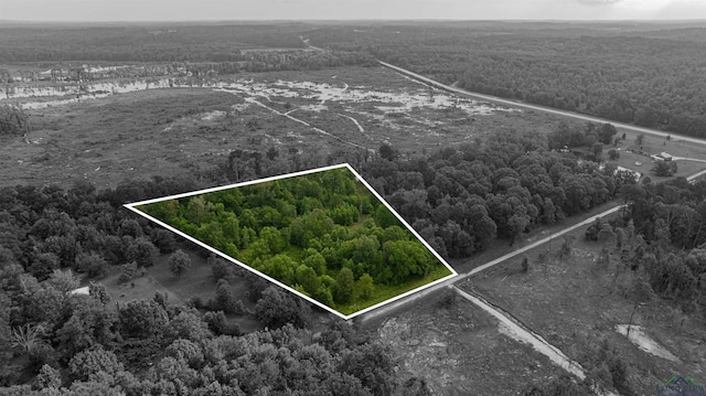 376 Fm 4441, Hallsville, TX 75650 - photo 14