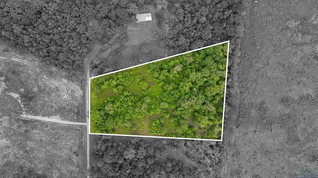 376 Fm 4441, Hallsville, TX 75650 - photo 17