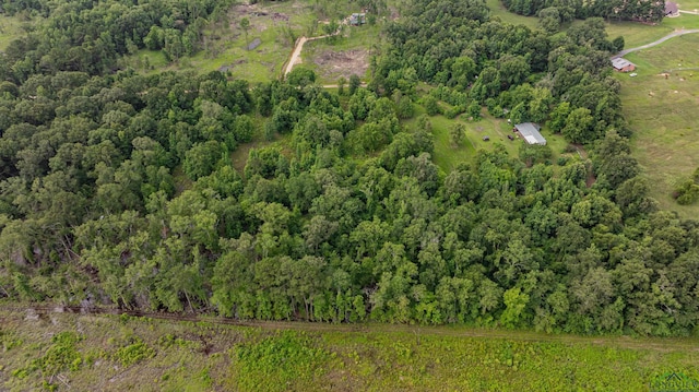 376 Fm 4441, Hallsville, TX 75650 - photo 8