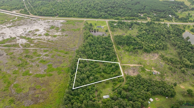 376 Fm 4441, Hallsville, TX 75650 - photo 12