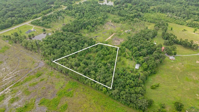 376 Fm 4441, Hallsville, TX 75650 - photo 10