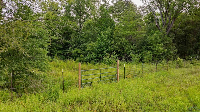 376 Fm 4441, Hallsville, TX 75650 - photo 4