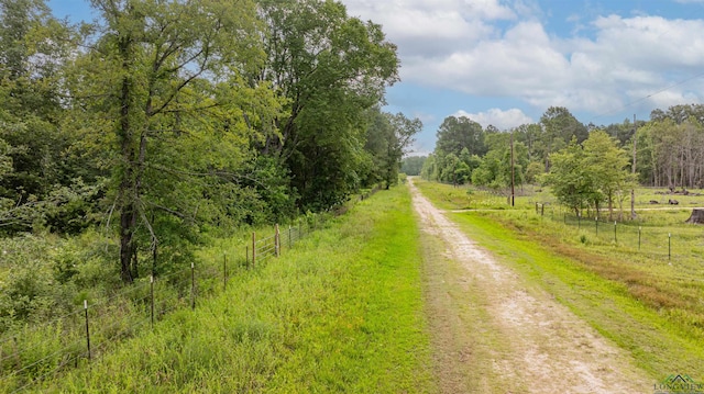 376 Fm 4441, Hallsville, TX 75650 - photo 5