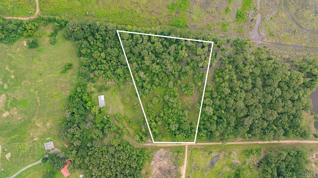 376 Fm 4441, Hallsville, TX 75650 - photo 1