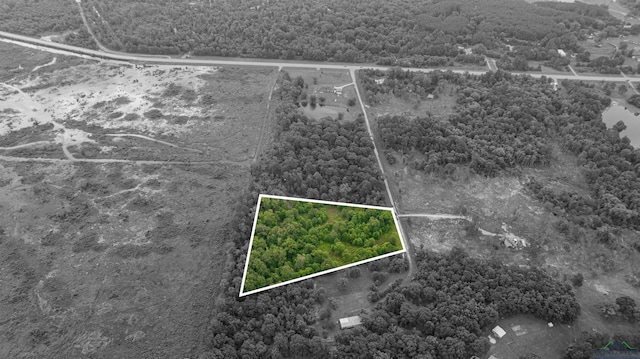 376 Fm 4441, Hallsville, TX 75650 - photo 15