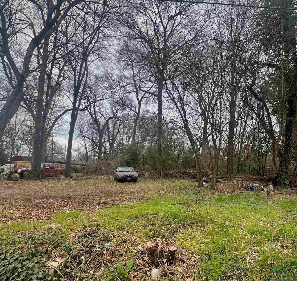 1304 S St, Marshall, TX 75670 - photo 1