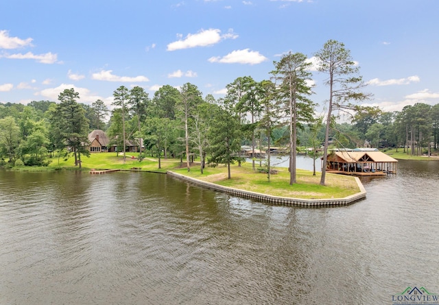 17250 Cardinal Ln, Troup, TX 75789 - photo 1