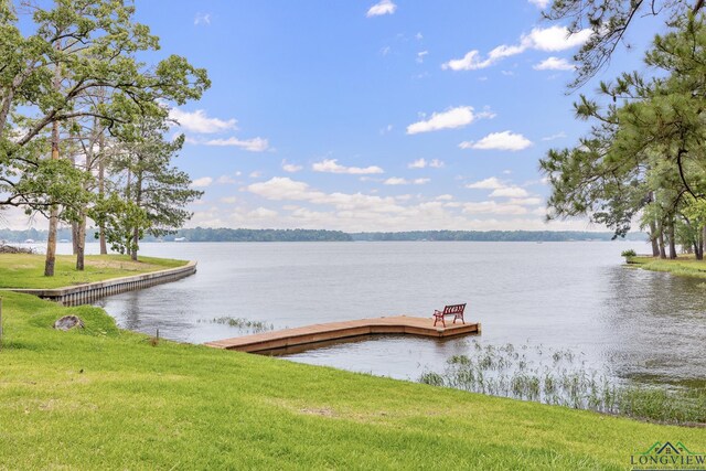17250 Cardinal Ln, Troup, TX 75789 - photo 32