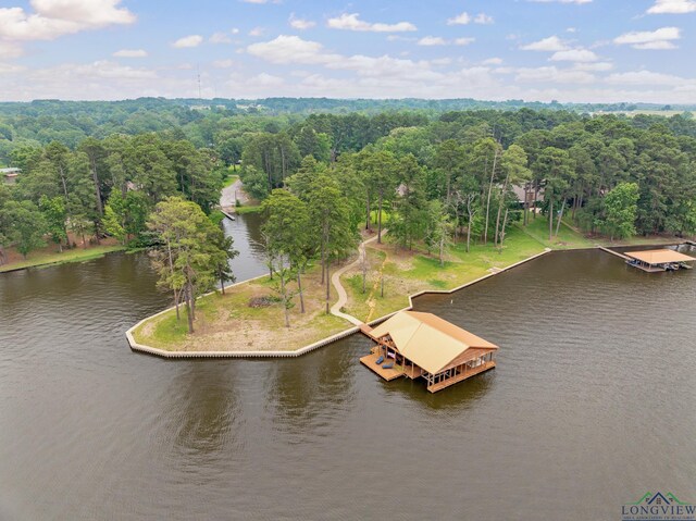17250 Cardinal Ln, Troup, TX 75789 - photo 47