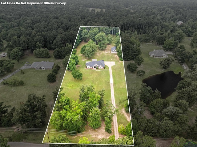 1844 Raven Rd, Diana, TX 75640 - aerial view of property's location featuring a forest, property parcel outlined, and a large body of water