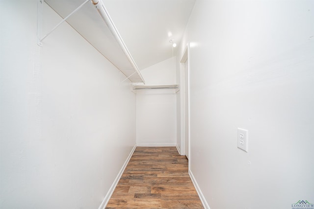 spacious closet featuring dark wood-type flooring