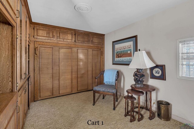 living area with light colored carpet