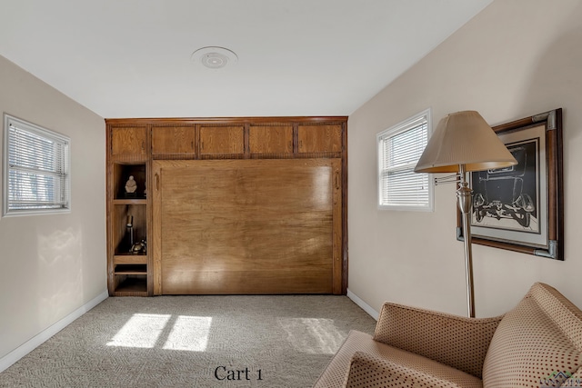 interior space with light colored carpet