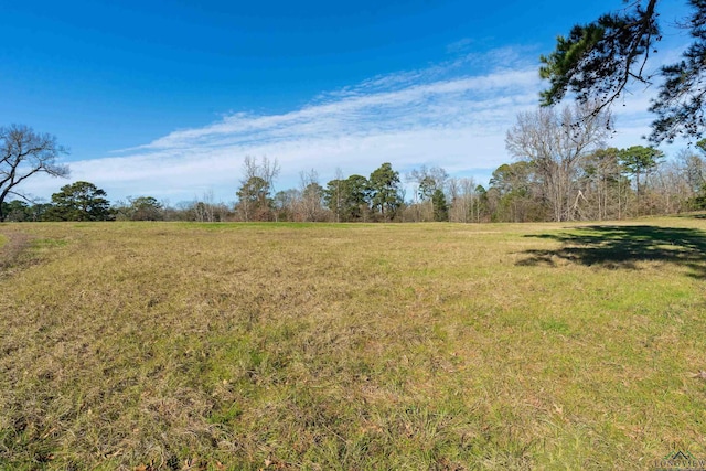 view of yard with a rural view