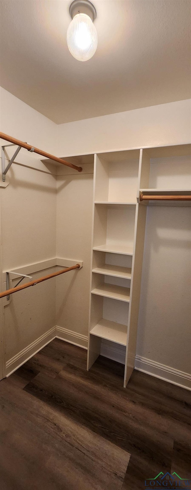 walk in closet featuring dark hardwood / wood-style floors