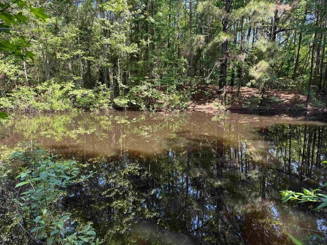 787 County Road 2201, Daingerfield, TX 75638 - photo 3