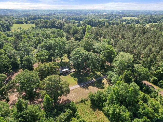 787 County Road 2201, Daingerfield, TX 75638 - photo 7