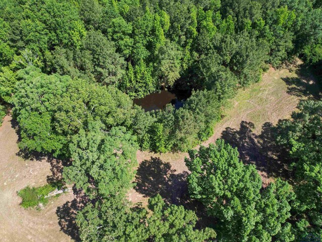 787 County Road 2201, Daingerfield, TX 75638 - photo 9