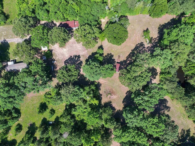 787 County Road 2201, Daingerfield, TX 75638 - photo 10