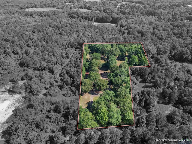 787 County Road 2201, Daingerfield, TX 75638 - photo 1