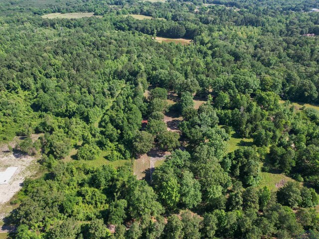 787 County Road 2201, Daingerfield, TX 75638 - photo 4