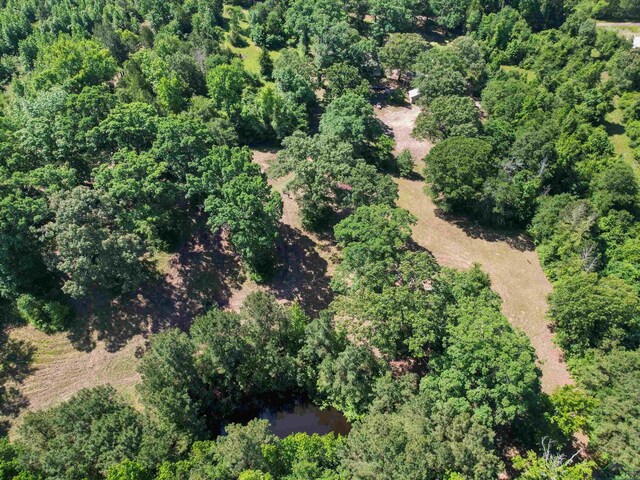 787 County Road 2201, Daingerfield, TX 75638 - photo 12