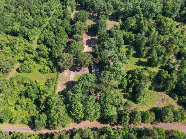787 County Road 2201, Daingerfield, TX 75638 - photo 5
